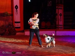 Circus YAKARI Show am 04.10.2024